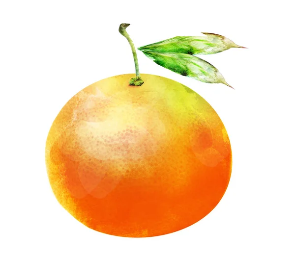 白色的橙色水果 — 图库照片