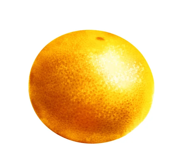 Acquerello Frutta Arancione Bianco — Foto Stock