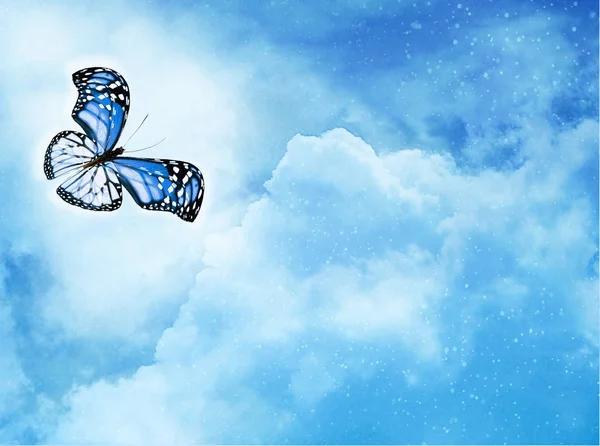 Blauwe Vlinder Hemelsblauwe Achtergrond — Stockfoto