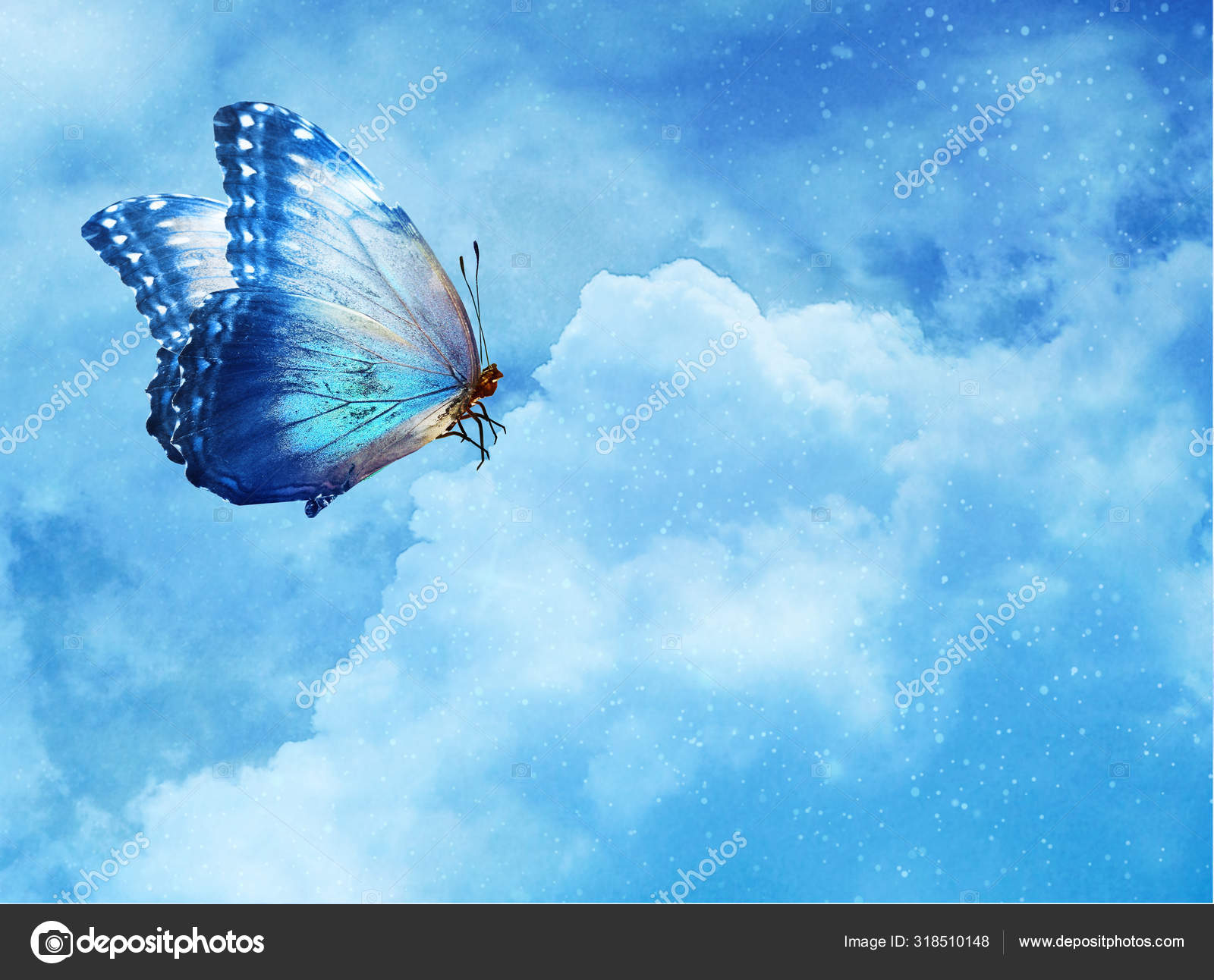 Flying Butterfly on Blue Sky - Stock Image - Everypixel