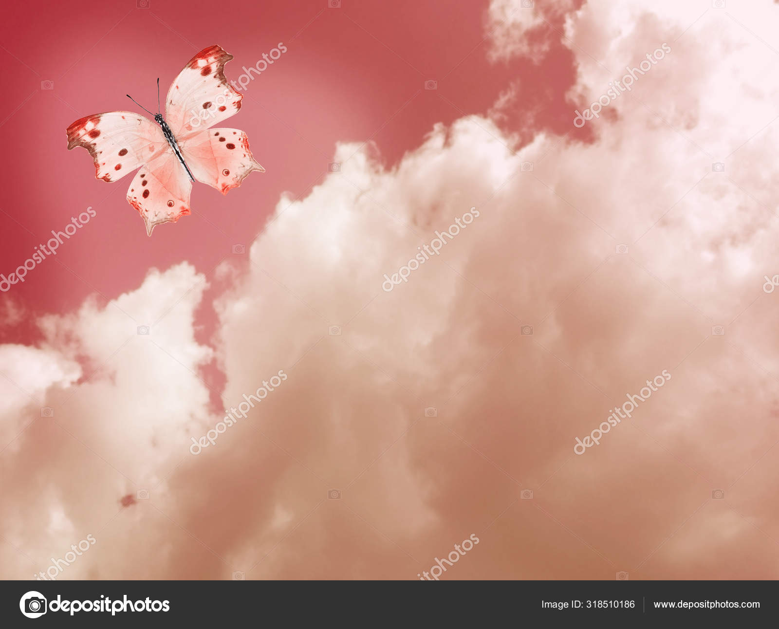 Blue Butterfly Sky Blue Background Stock Photo by ©sun_tiger 318510186