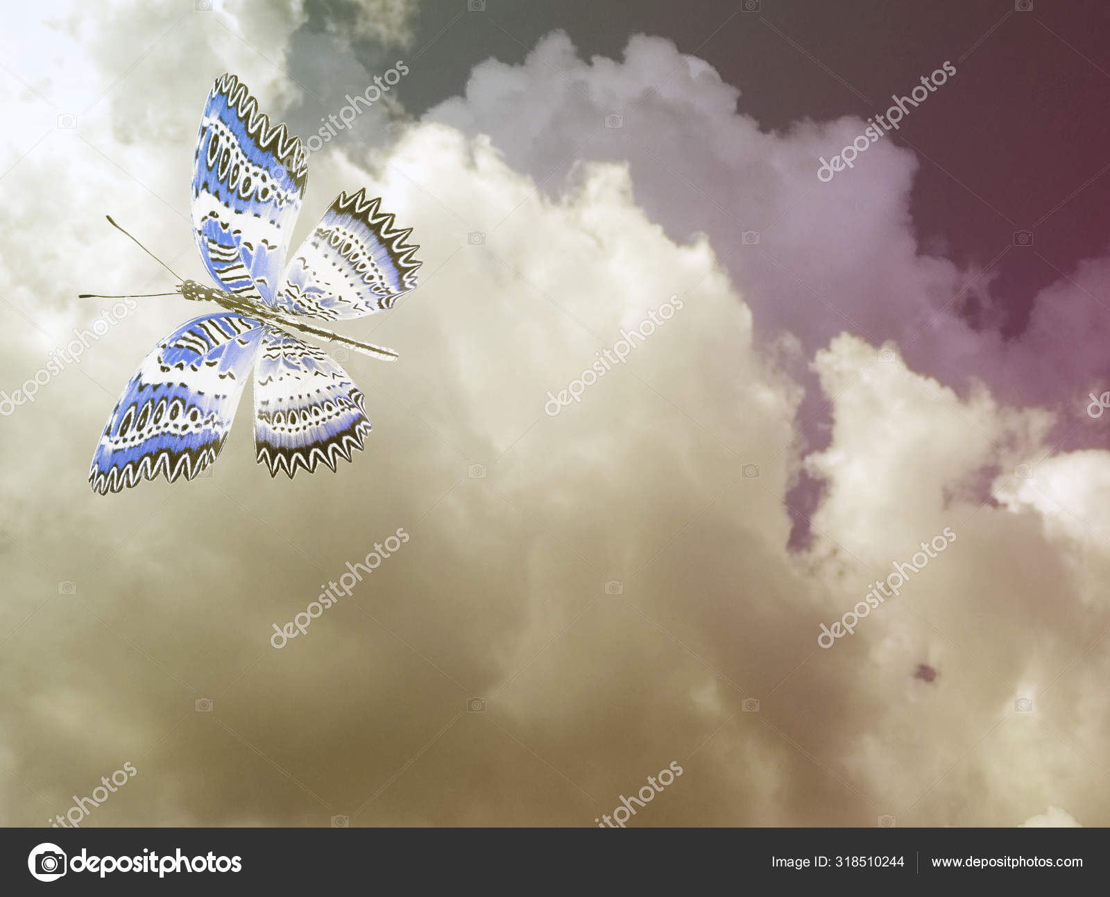 Blue Butterfly Sky Blue Background Stock Photo by ©sun_tiger 318510244