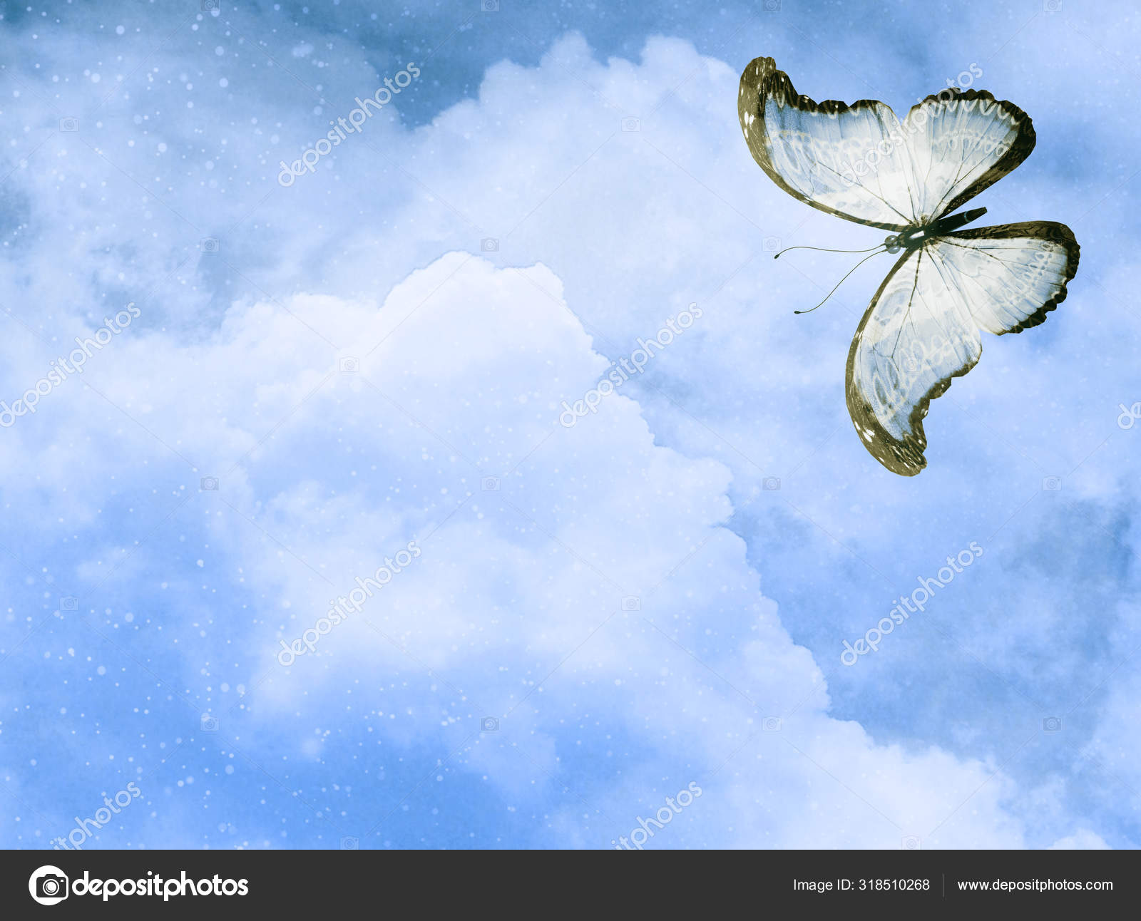 Blue Butterfly Sky Blue Background Stock Photo by ©sun_tiger 318510268