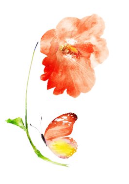 Suluboya çiçekleri, beyaz arkaplanda izole