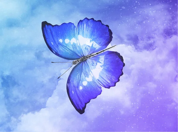 Blue Butterfly Sky Blue Background — Stock Photo, Image