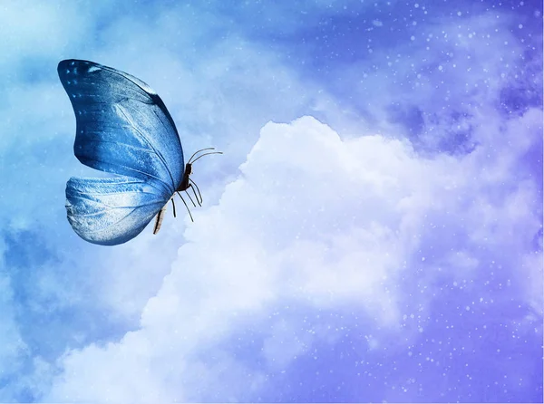 蓝色蝴蝶在天蓝色背景 — 图库照片