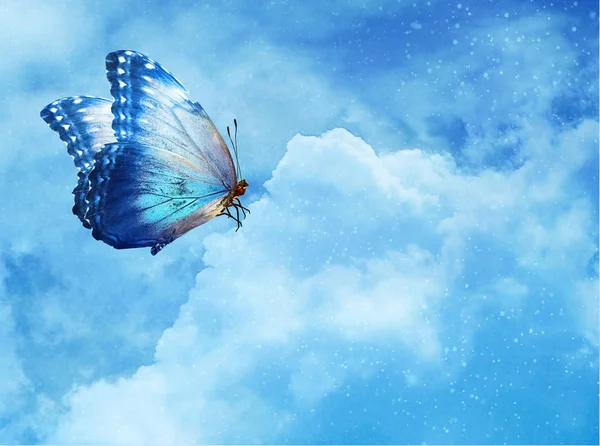Blue Butterfly Sky Blue Background — Stock Photo, Image
