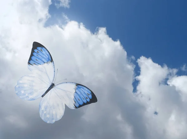 Borboleta Azul Céu Fundo Azul — Fotografia de Stock