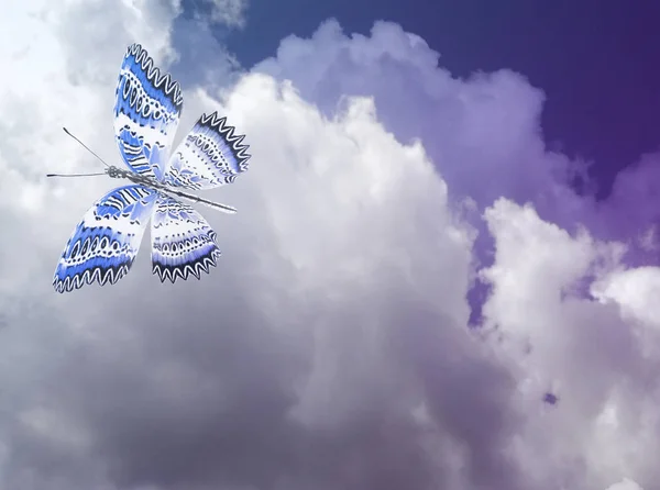 Blue butterfly on sky blue background