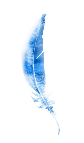 白い背景に隔離された水彩の羽 — ストック写真