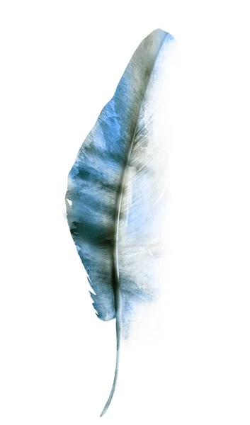 Suluboya Tüyleri Beyaz Arkaplanda Izole — Stok fotoğraf