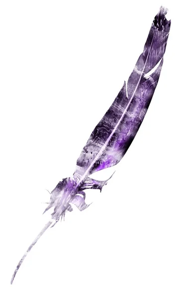 Watercolor Feathers Isolated White Background — Stock Photo, Image