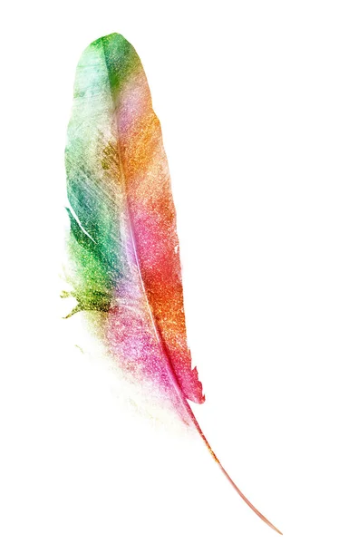 Watercolor Feathers Isolated White Background — Stock Photo, Image