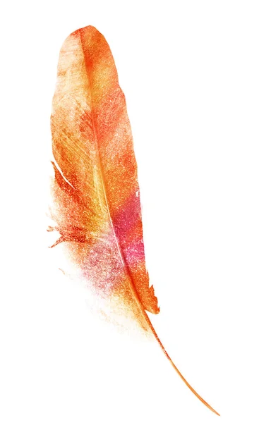 stock image Watercolor feathers, isolated on white background