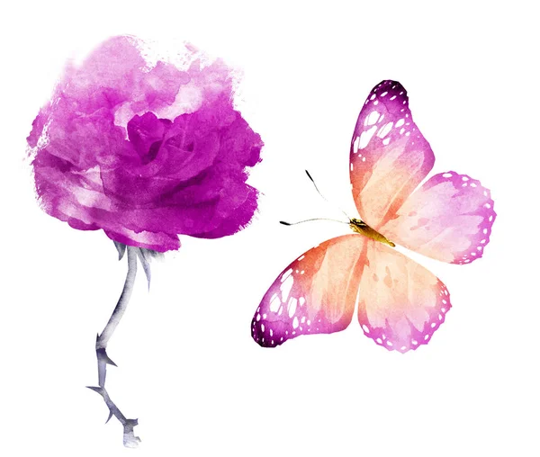 Akvarelové Květiny Izolované Bílém Pozadí — Stock fotografie