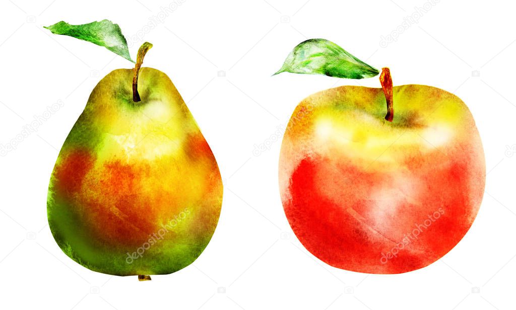 Watercolor apple and pear on white