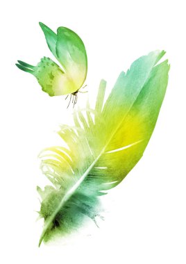 Suluboya tüyleri, beyaz arkaplanda izole