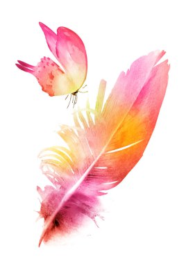 Suluboya tüyleri, beyaz arkaplanda izole