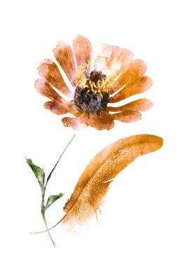 Beyaz arkaplandaki çiçeklerden buket