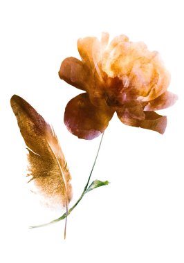 Beyaz arkaplandaki çiçeklerden buket