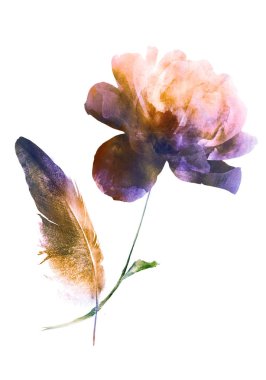 Beyaz arkaplandaki çiçeklerden buket