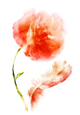 Beyaz arkaplandaki çiçeklerden buket