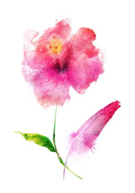 Beyaz arkaplandaki çiçeklerden buket