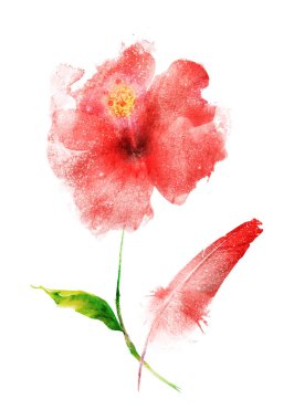 Beyaz arkaplandaki çiçeklerden buket