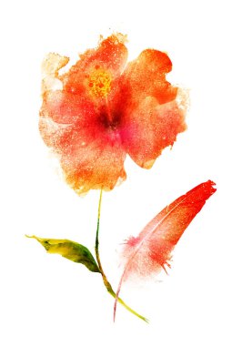 Beyaz arkaplandaki çiçeklerden buket