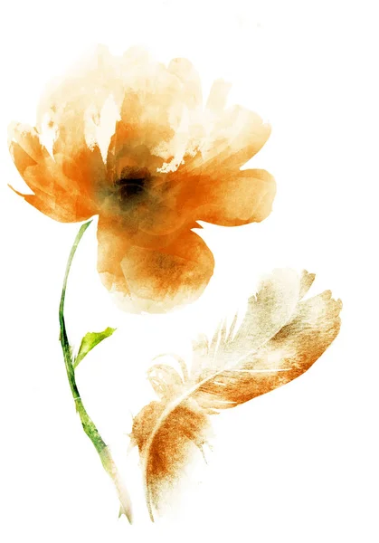 Букет Квітів Білому Тлі — стокове фото