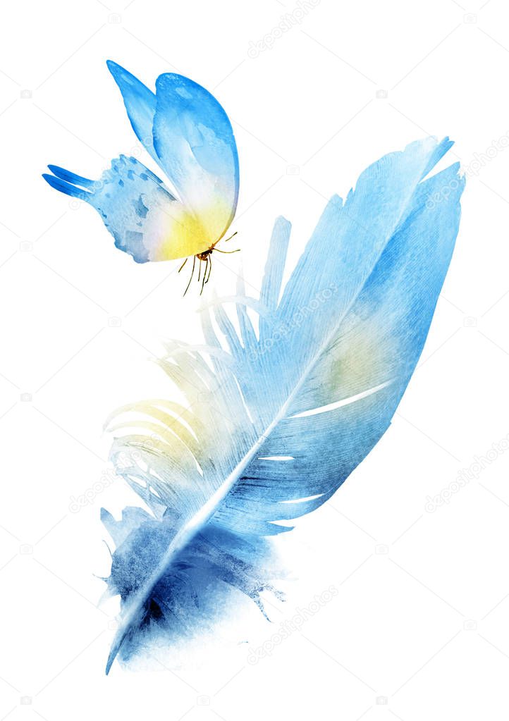 Watercolor feathers , isolated on white background