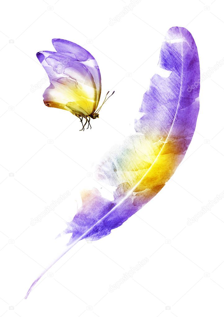 Watercolor feathers , isolated on white background