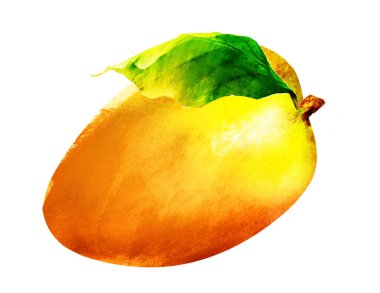 Beyaz üzerine suluboya mango