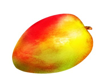 Beyaz üzerine suluboya mango