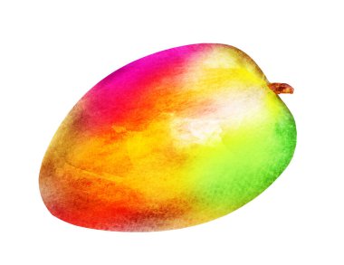 Beyaz üzerine suluboya mango