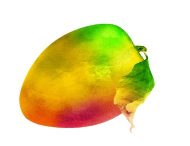 Beyaz üzerine suluboya mango