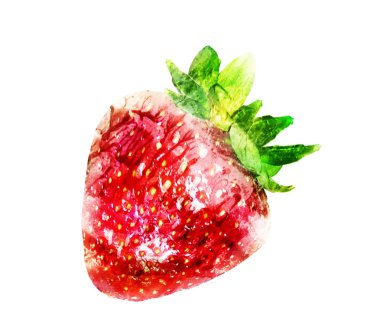 Suluboya beyaz çilek