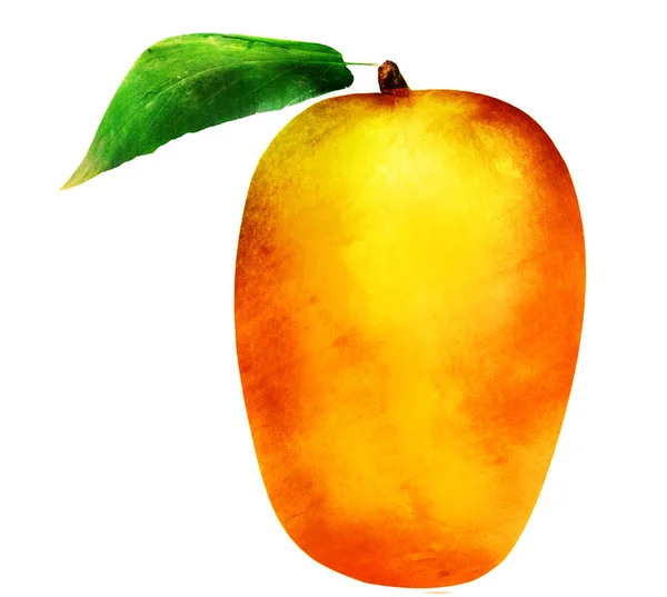 Watercolor mango on white — ストック写真