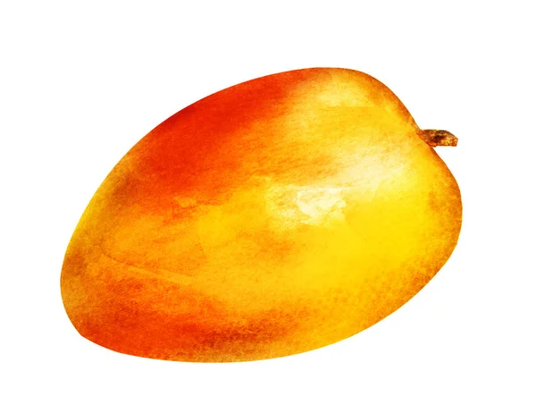 Akvarelové mango na bílém — Stock fotografie