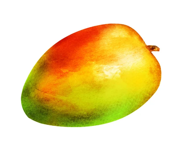 Mango acquerello su bianco — Foto Stock