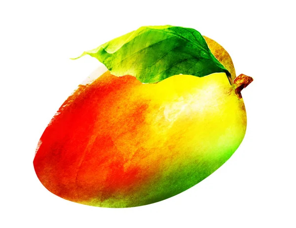 Mango acuarela sobre blanco — Foto de Stock