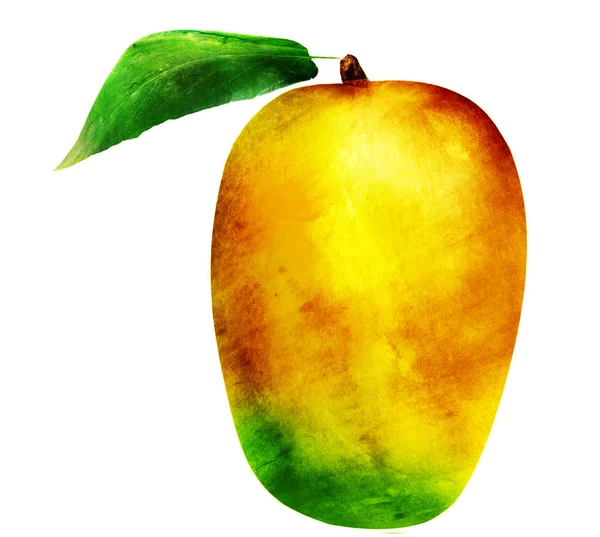 Watercolor mango on white — Stock Photo, Image