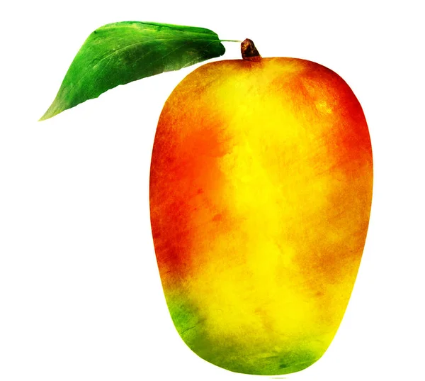 Mango acquerello su bianco — Foto Stock