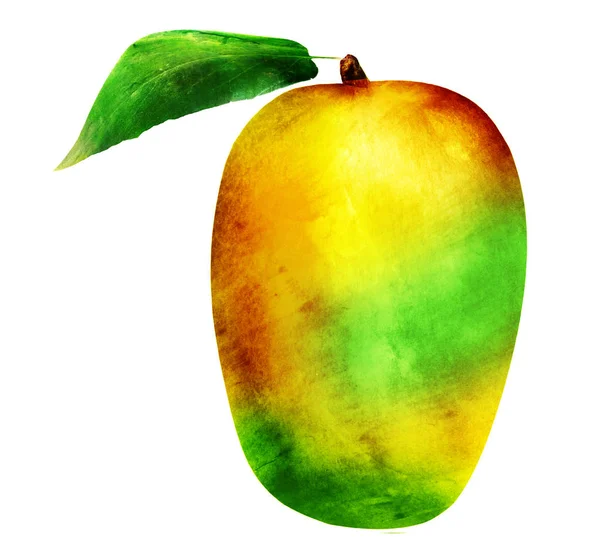 Mango acuarela sobre blanco — Foto de Stock