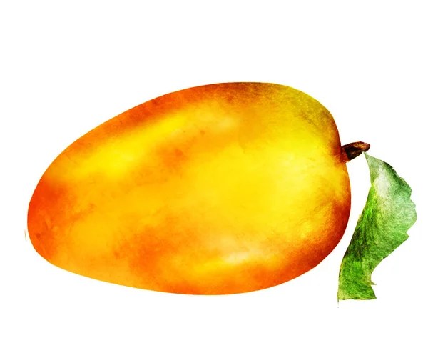 Mango acquerello su bianco — Foto Stock