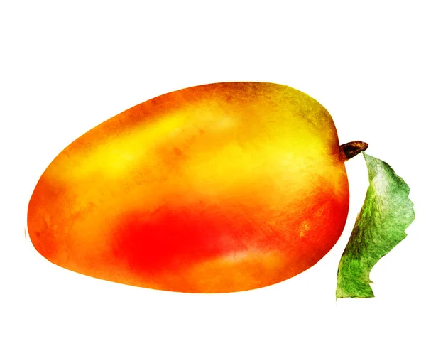 Mango acquerello su bianco — Foto Stock