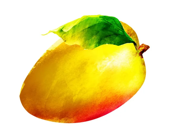 Watercolor mango on white — Stock Photo, Image