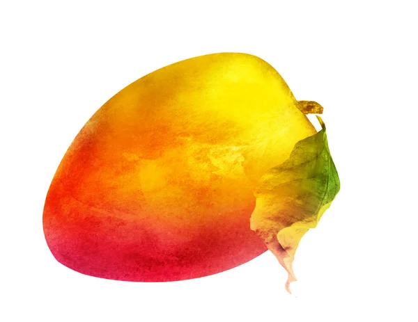 Aquarell Mango auf Weiß — Stockfoto