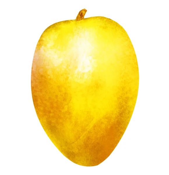 Akvarell mango på vitt — Stockfoto