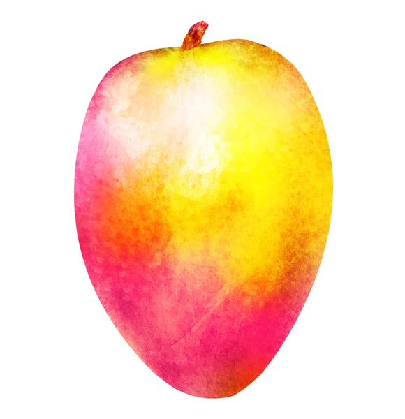 Mango acuarela sobre blanco —  Fotos de Stock